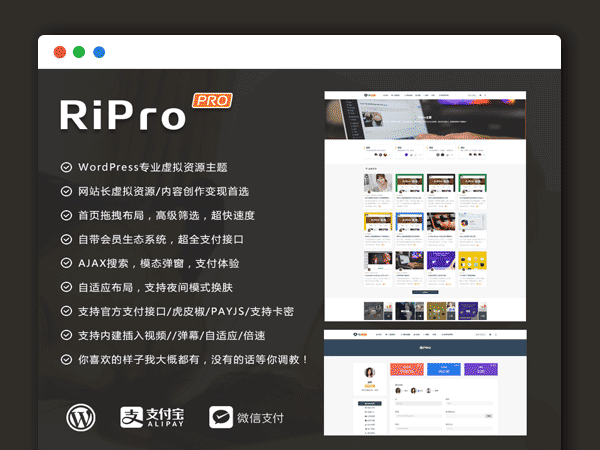 WordPress主题 最新 RIPro 4.6.0 资源付费下载类WP主题源码模板 修复支付跳转等BUG 免授权无需SG11扩展