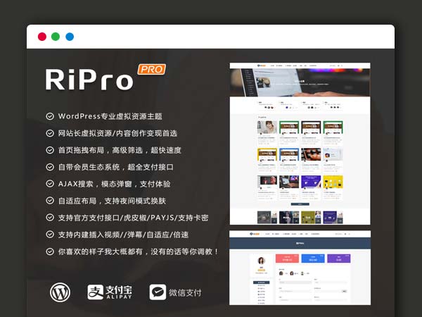 最新日主题RIPro主题RiPro6.3.8 Wordpress主题模板 虚拟资源素材下载主题网站源码 去后门和加密文件