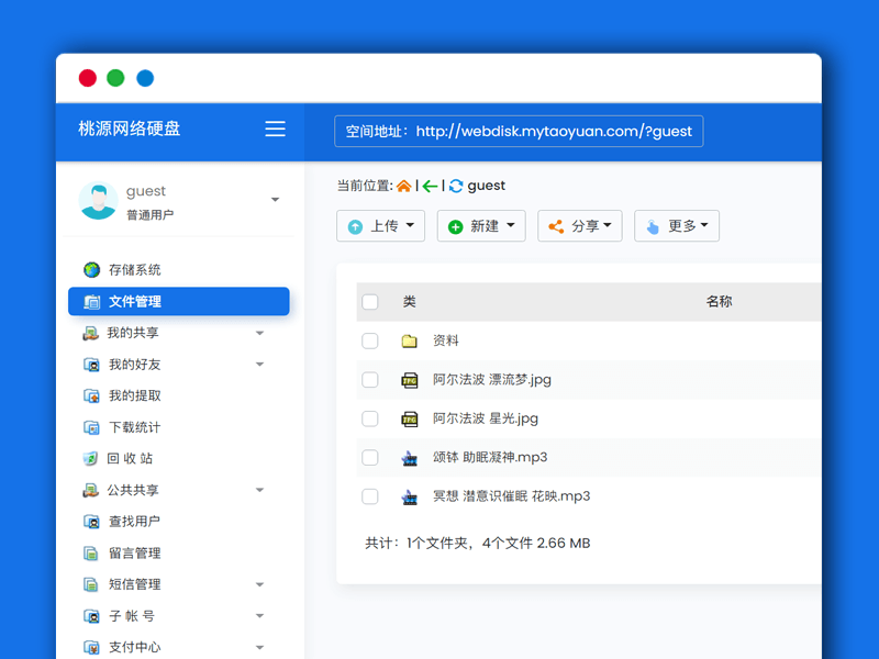 基于.NET开发的网络硬盘系统源码桃源网络硬盘